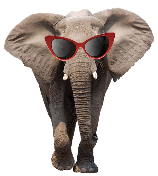 Red Elephant Sunglasses